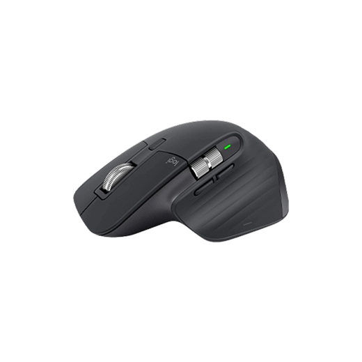MOUSE